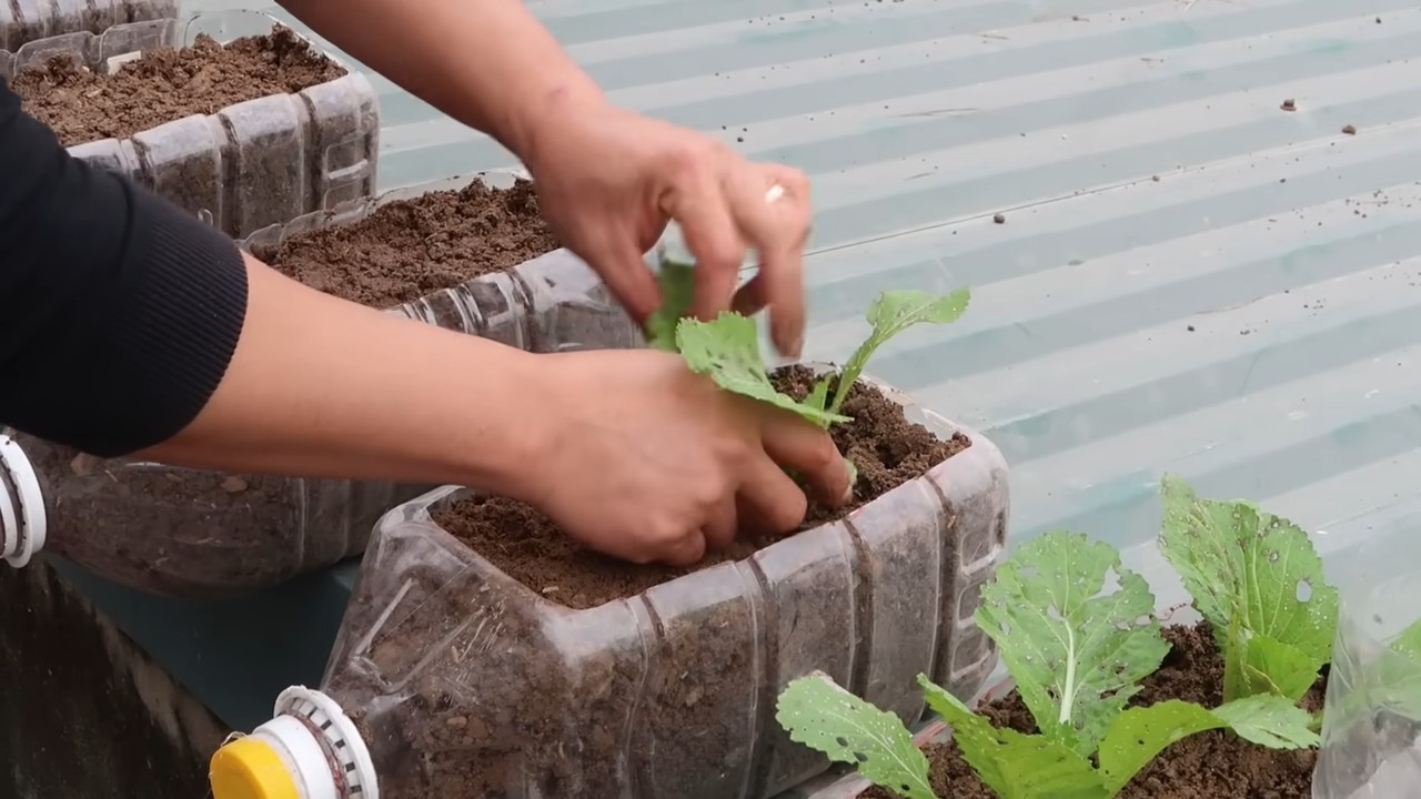 Effective Home Gardening Methods