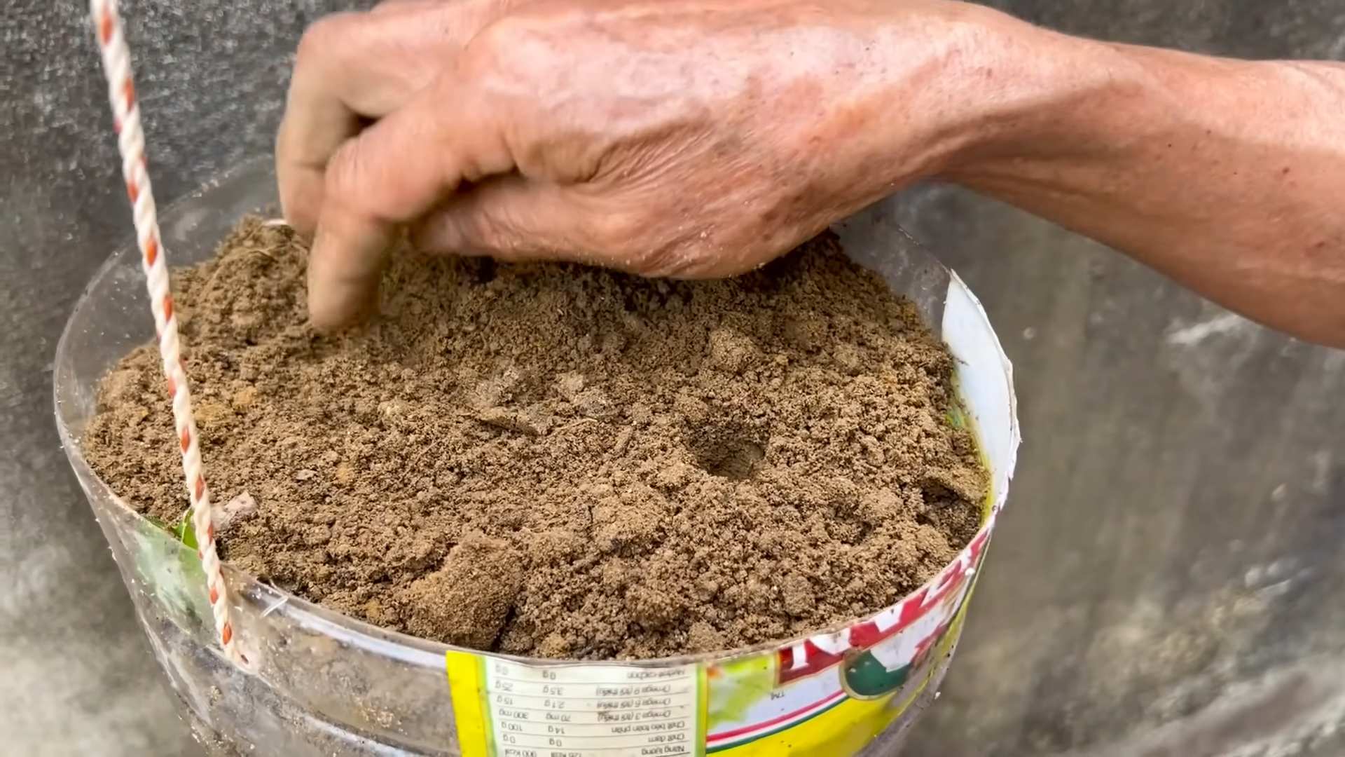 Backyard melon growing tips