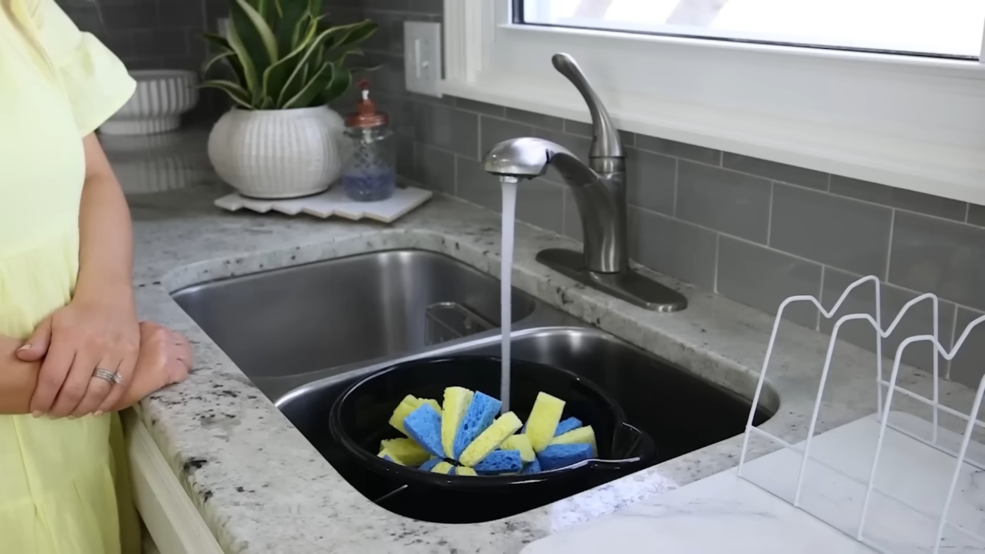 Grow Lettuce Indoors Outdoors
