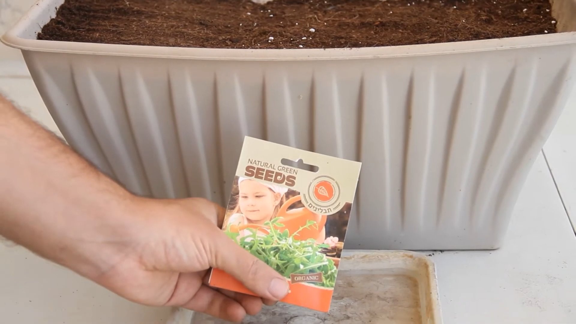 Grow Arugula Indoors Kitchen