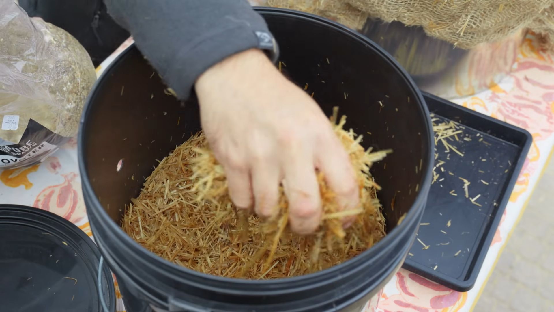 Indoor Mushroom Bucket Growing
