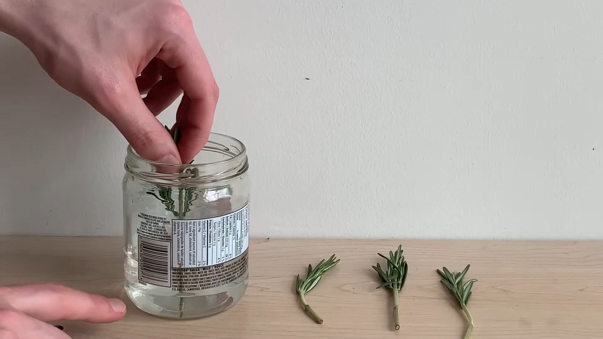 Rosemary pot care