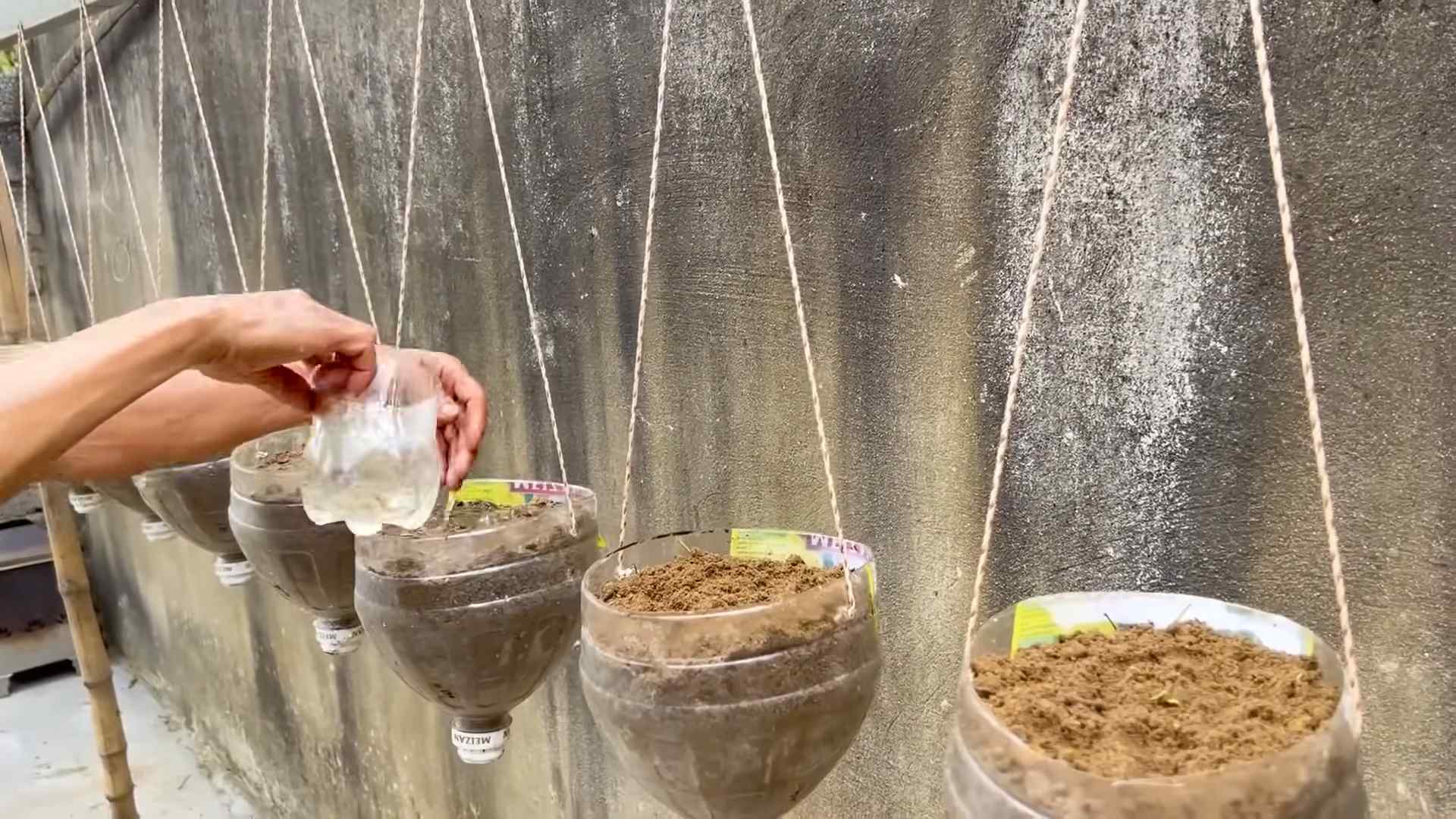 Grow Melons Faster