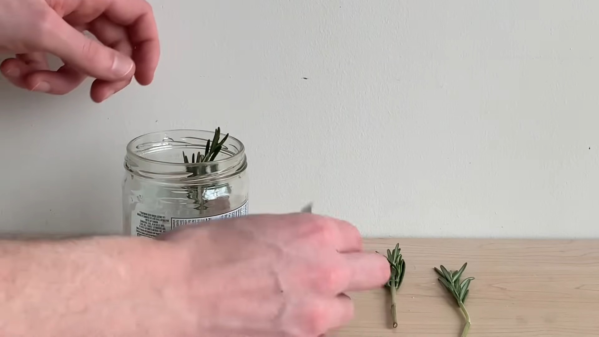 Rosemary Propagation in Water