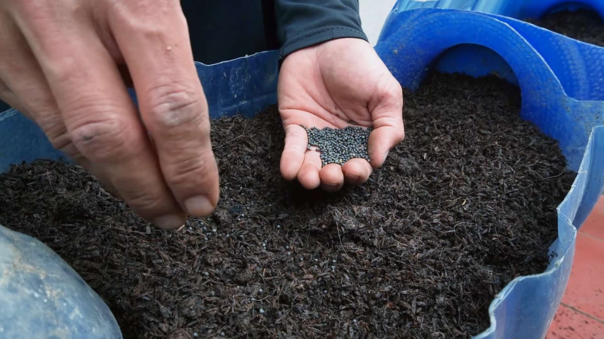 Collard Greens Planting Hack